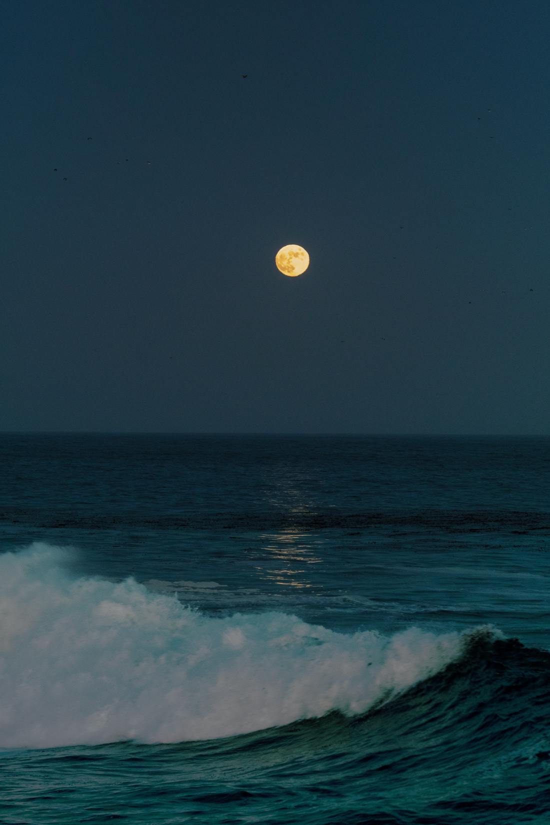 Photo by Gabriel Tovar on Unsplash