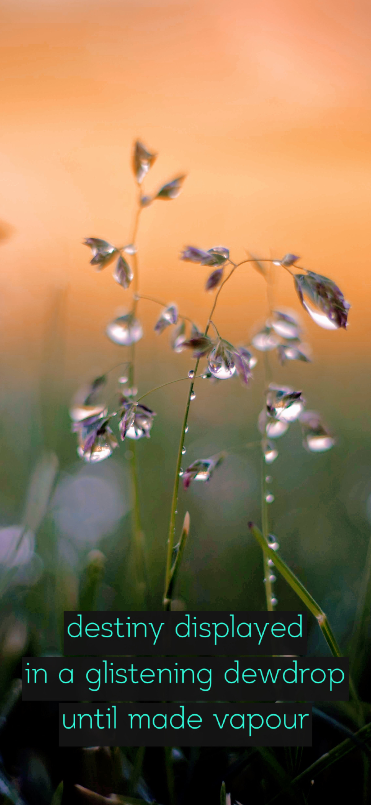 Image courtesy Joshua Hoehne on Unsplash.com