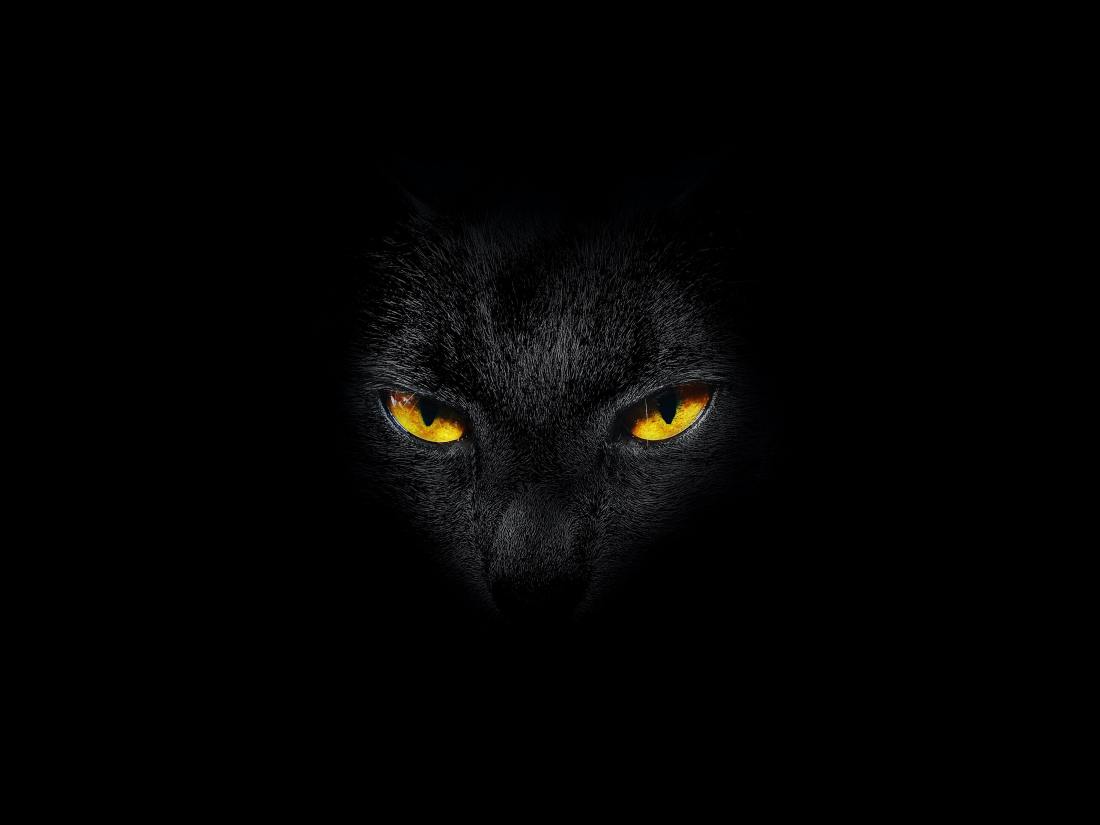 Photo by Tasos Mansour on Unsplash